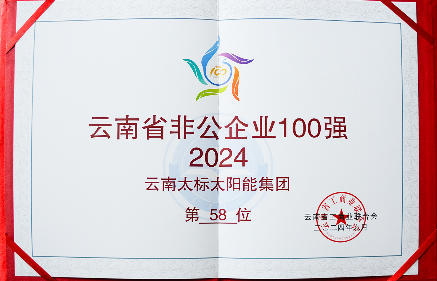 2024非公企業(yè)100強(qiáng)