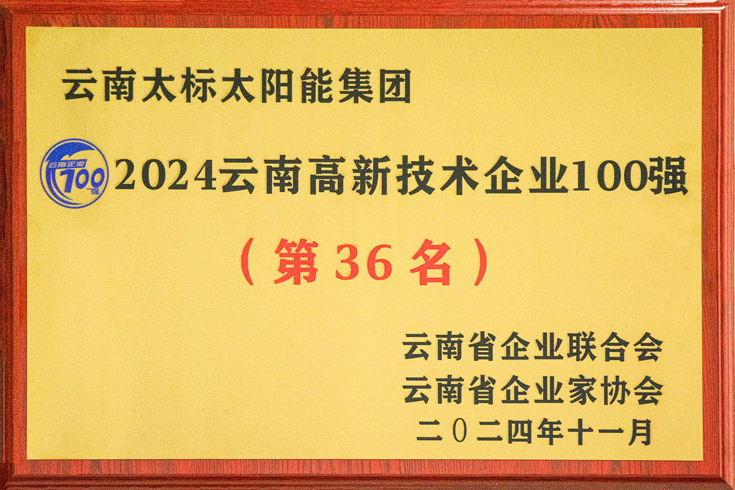 2024高新技術(shù)企業(yè)100強(qiáng)獎(jiǎng)牌